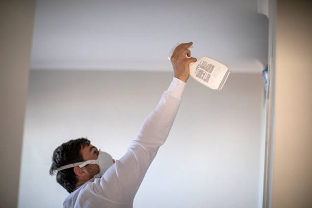 Best Fast Mold Removal  in Due West, SC