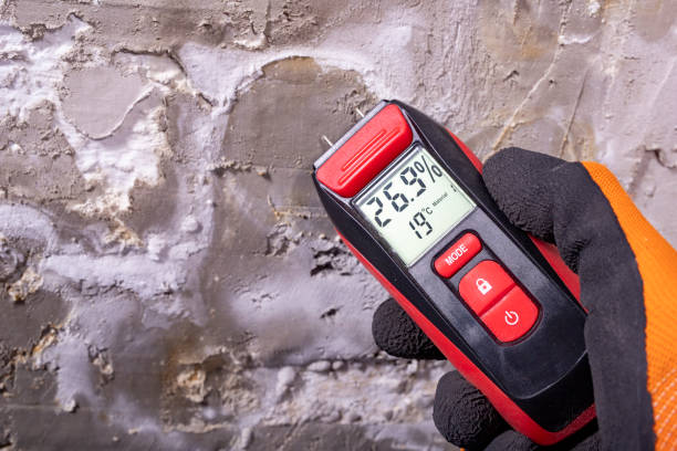 Best Mold Cleaning Services  in Due West, SC