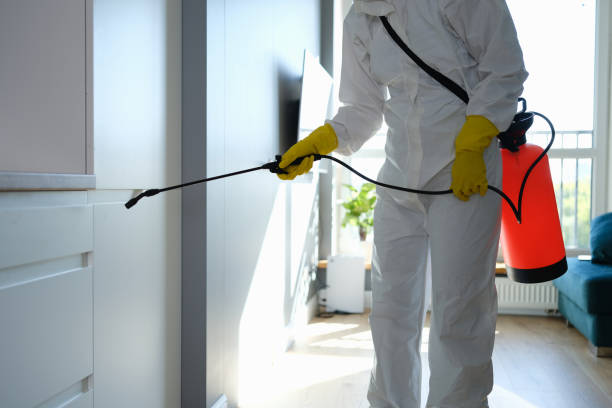 Crawl Space Mold Removal in Due West, SC
