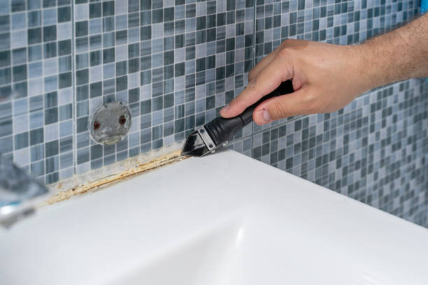 Best Mold Testing  in Due West, SC