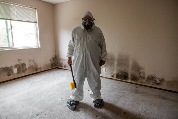 Best Certified Mold Removal  in Due West, SC